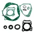 Jogo Juntas Motor + Retentores Suzuki Yes 125 2008 A 2013