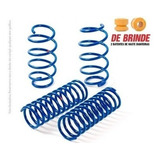 Jogo Molas Esportivas Brinde