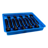 Jogo Parafuso Cabecote Motor Renault Scenic Logan 1 6 16v