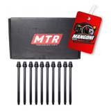 Mtr