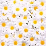 Johouse Margarida Artificial 200 Peças Margarida De Seda Artificial Gerber Margarida Artificial Crisântemo Margarida Flores Cabeças Para Decoração De Casamento Decoração De Casa 3 8 Cm Branco
