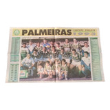 Jornal Antigo Diário Do Grande Abc Palmeiras Campeão 1993