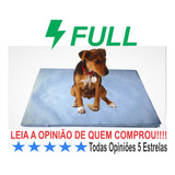 Jornal Pet P Caes