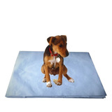 Jornal Pet Para Cachorro 300unid Papel Reciclado Top brinde