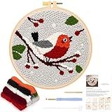 JSRQT Kit De Agulhas De Perfuração Para Iniciantes  Kit De Bordado De Agulha De Perfuração Com Padrão De Pássaro Para Crianças Adultas  Kits De Iniciantes De Tapete De Ponto Cruz Faça Você Mesmo  Kit