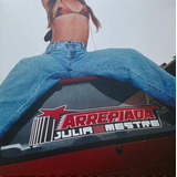 Vinil