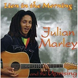 Julian Marley The Lion In The Morning Cd Seminovo Perfeito