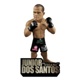 Junior Dos Santos Cigano