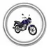 Junta Anel Escape Honda Cg Titan 150 Ano 2009 Até 2014 Vedam