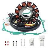 Junta De Estator E Tampa Para Yamaha YFZ450 2012 2013 YFZ450 S T 2004 2005 YFZ450 W X Y 2007 2009 5TG 15451 00 00 5TG 15451 10 00
