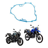 Fz25