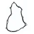 Junta Tampa Lateral Esquerda Suzuki Dr650 91-96 (magneto)  