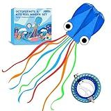 Kaiciuss Pipa De Polvo Com Conjunto Carretilhas- Fácil Empinar Para Crianças E Adultos- Kit Enrolador 7-2- Sem Moldura Linha Única -Azul-