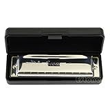 Kangnice Swan Harmonica 10 Buracos Chave