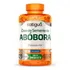 Katigua Oleo De Semente De Abobora 1000mg 120 Cápsulas Sem Sabor