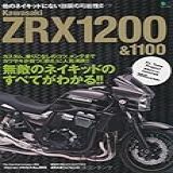Kawasaki ZRX1200 1100