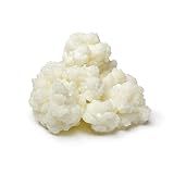 Kefir De Leite Bichinho Do Iogurte Mudas De Kefir Em Grãos De Leite Real