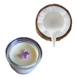 Kefir De Leite Coco E Greek Iogurte Natural 2 Probioticos 