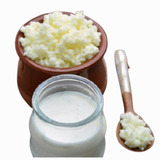 Kefir De Leite Com