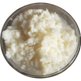 Kefir De Leite Com Manual Frete Livre E Brinde Exclusivo