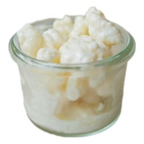 Kefir De Leite De