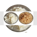 Kefir De Leite E Kefir De Água Frete Livre Com Brinde código