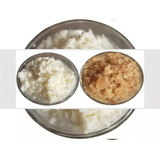 Kefir De Leite E Kefir De Água Manual E Brinde Exclusivo