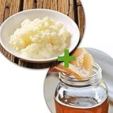 Kefir De Leite E Kombucha Com Assessoria No Cultivo E Criação