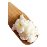 Kefir De Leite Fresco   Melhore Sua Imunidade