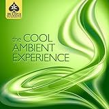 King Makers Presents The Cool Ambient Experience Clean 