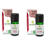 Terraflor