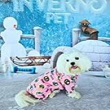 Kit 02 Pijama G Fêmea Roupa Pet Inverno Roupinhas Cães E Gatos