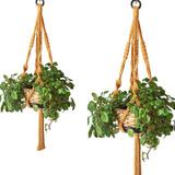 Kit 02 Suporte Decorativo
