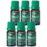 Kit 06 Óleos Essenciais De Melaleuca 100 Puro Rhr Tipo De Embalagem Frasco Âmbar