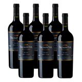Kit 06 Unidades Vinho