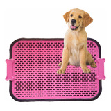 Kit 1 Sanitário Canino Toalete Pipi 1 Refil Grama Xixi Cães