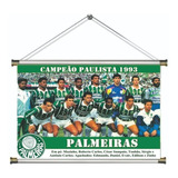 Kit 10 Banner Pôster Palmeiras Vários Titulos 60x40cm