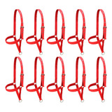 Kit 10 Cabrestos Nylon Bezerro Bode Carneiro Ovino Caprino