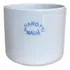 Kit 10 Cadinhos De Fusão 100ml   2  Linha