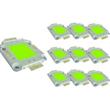 Bivolt