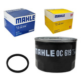 Kit 10 Filtros Óleo Bmw F800 F850 R1200 R1250 S1000rr Oc619