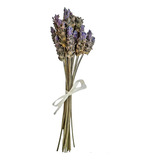 Kit 10 Flor De Lavanda Natural