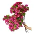 Kit 10 Galhos Flores De Bougainville 75cm Artificial