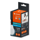 Bivolt