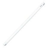 Kit 10 Lampada Led