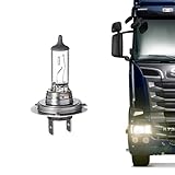 KIT 10 Lâmpadas Halógenas Transparentes Para Caminhões Encaixe H7 OSRAM Linha Truckstar 64215 Pro 24v 70w