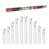 Kit 10 Lampadas Led