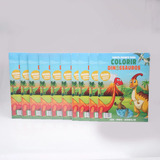 Kit 10 Livros Tapete Gigante Para Colorir Dinossauros