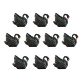 Kit 10 Mini Cisne Negro Maquetes