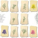 Kit 10 Panos Coleção Especiarias E Flora 72x45 Grande Extra 100 Algodão Cru Rustico PANOS DECORATIVOS